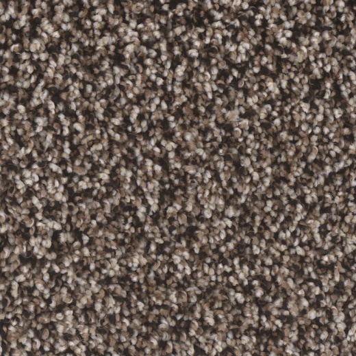 Microban Creekside II Rapids Polyester Carpet - Textured