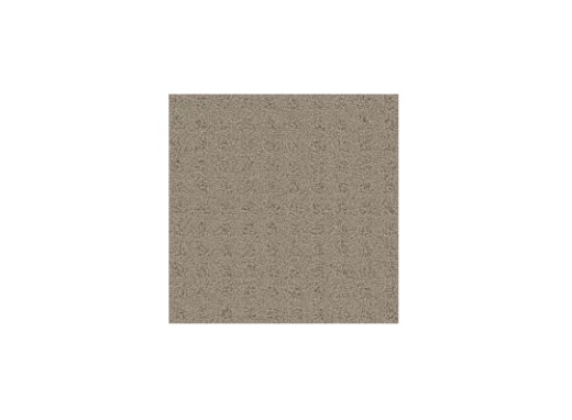 Floorever PetPlus Debut Launch Polyester Carpet - Pattern