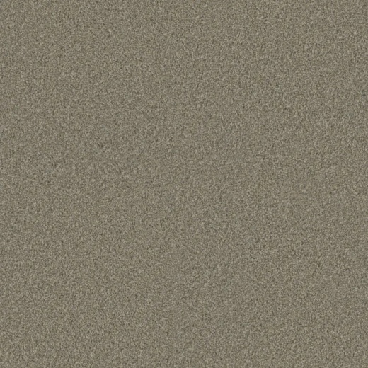 Floorever Whimsical Misty Polyester Carpet - Textured