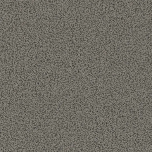 Floorever Petplus Mateo Masterpiece Polyester Carpet - Textured