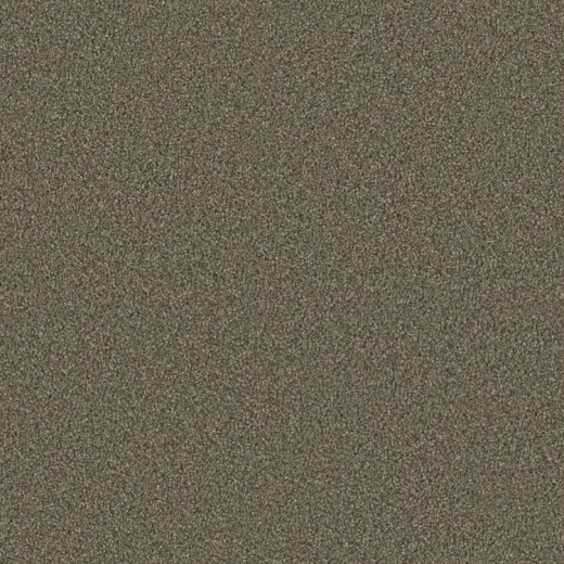 Modern Contours Pristine Angelic Polyester Carpet - Textured