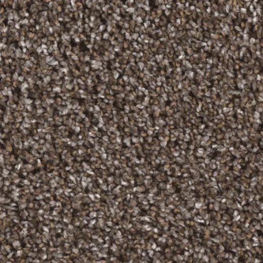 Floorever Whimsical Capricious Polyester Carpet - Textured