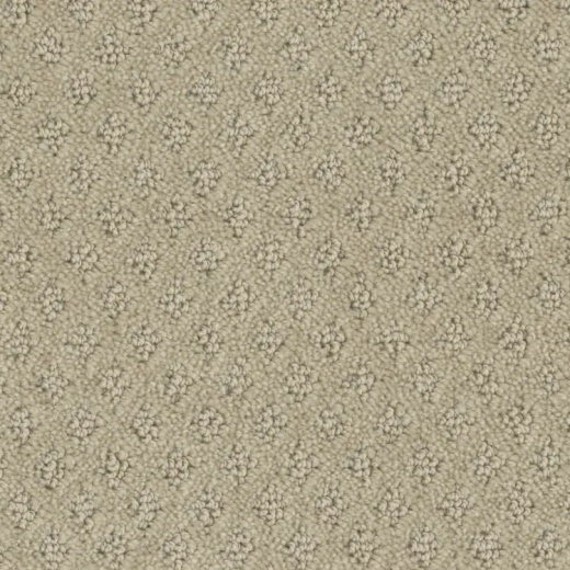 Microban Memento Token Polyester Carpet - Pattern
