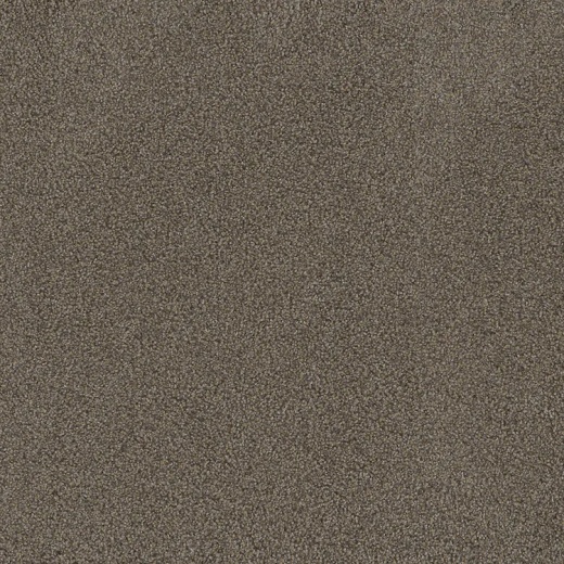 Floorever PetPlus Portofino Escape Polyester Carpet - Textured