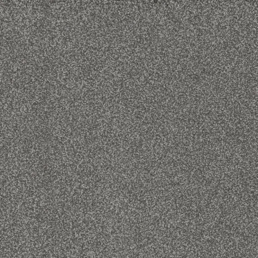 Floorever Petplus Sorrento Castello Polyester Carpet - Textured