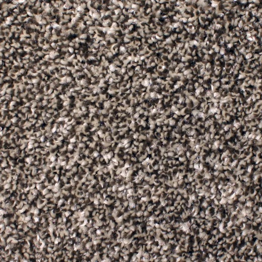 Floorever Petplus Idyllic Witty Polyester Carpet - Textured