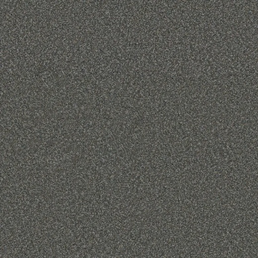 Floorever Succeed Outshine Polyester Carpet - Textured