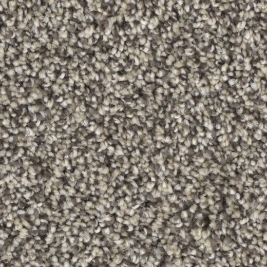 Microban Medal Winner Champ Polyester Carpet - Pattern