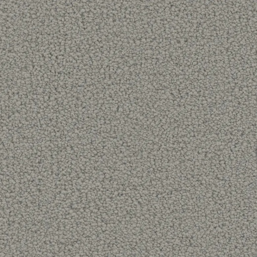 Floorever Petplus Emerson Lavish Polyester Carpet - Textured