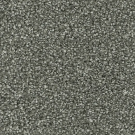 Microban Goals Dedicated Polyester Carpet - Textured