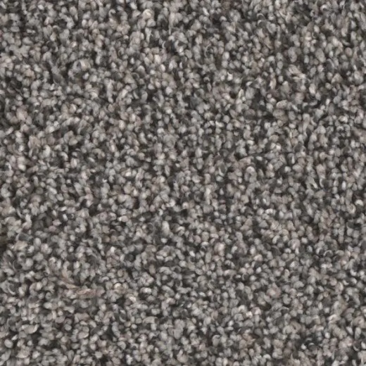 Floorever Eccentric Lively Polyester Carpet - Textured