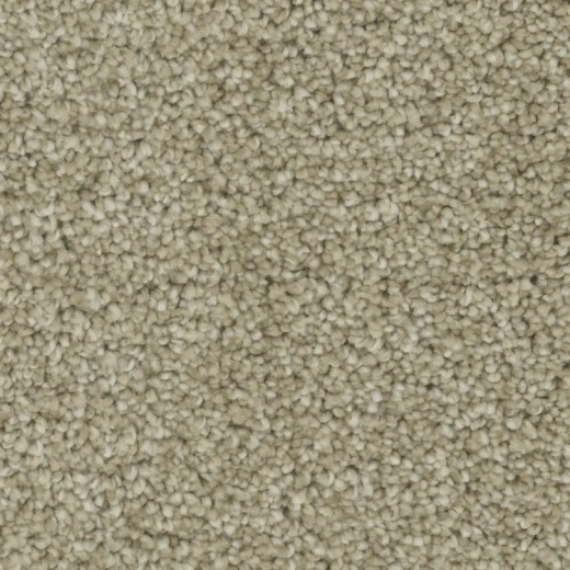 Microban Blessed On Cloud Nine Polyester Carpet - Textured