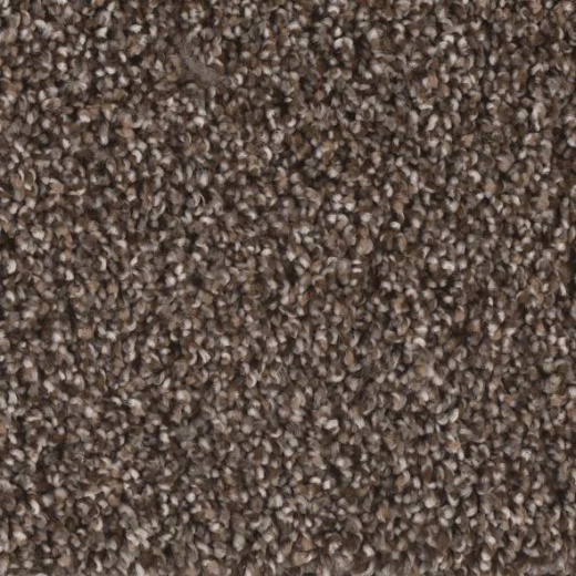 Floorever Visionary Idealistic Polyester Carpet - Textured