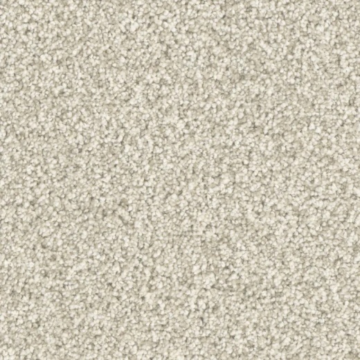 Microban Five Star First Rate Polyester Carpet - Textured