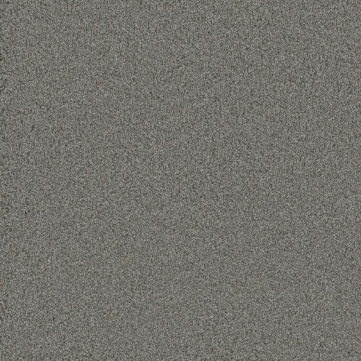 Floorever PetPlus Bougie Posh Polyester Carpet - Textured
