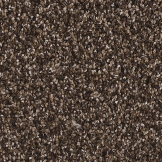 Microban Riverbend II Brisk Polyester Carpet - Textured