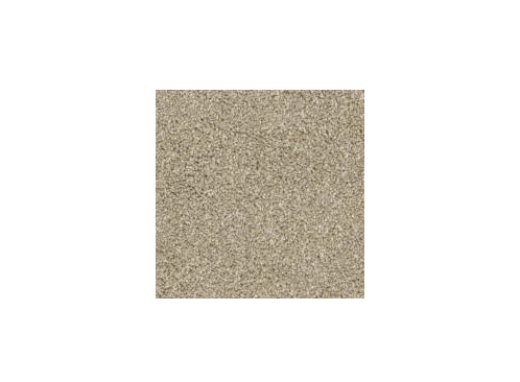 Floorever Petplus Crystal Cove Sandy Shore Polyester Carpet - Textured