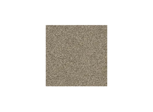 Floorever Petplus Seaview Trailhead Polyester Carpet - Textured