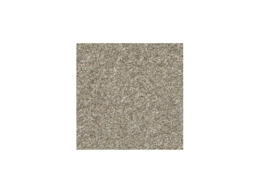 Floorever Petplus Paxton High Fashion Polyester Carpet - Textured