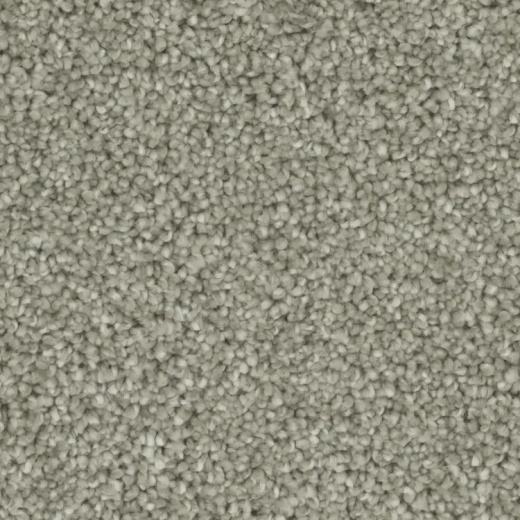 Microban Goals Delighted Polyester Carpet - Textured