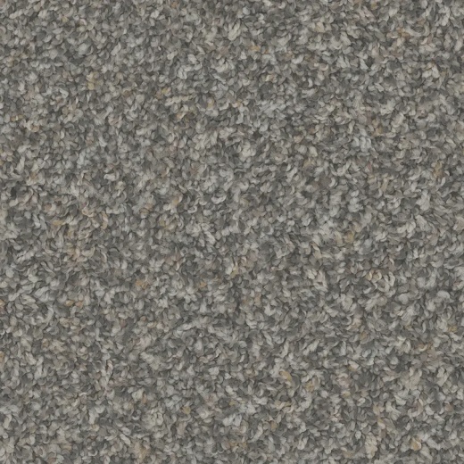 FloorEver PetPlus Sparta Mystical Polyester Carpet - Textured