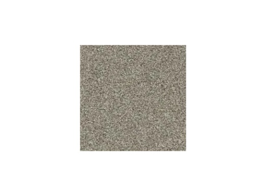 Floorever Petplus Crystal Cove Harbor Haven Polyester Carpet - Textured