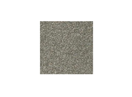 Floorever PetPlus Paxton Elegant Polyester Carpet - Textured