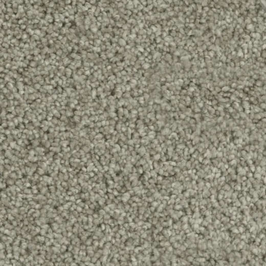 Microban Goals Sealed Polyester Carpet - Textured