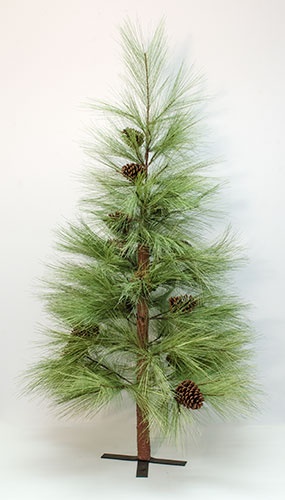 Long Needle Pine Tree 5 Ft