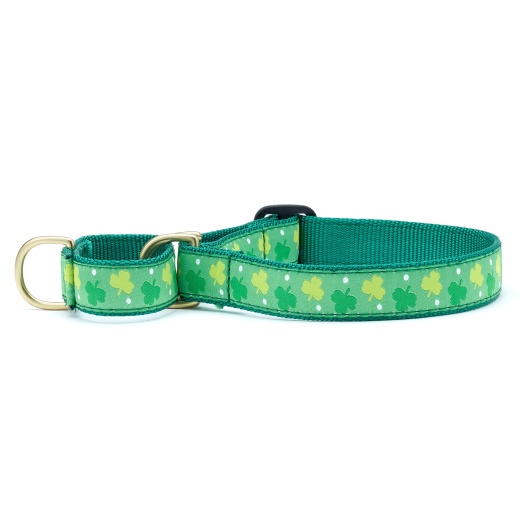 Shamrock Martingale Dog Collar - Small (Fits Necks 9" - 15") / Narrow (5/8")