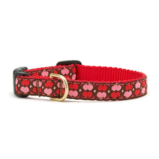 All Hearts Small Breed Dog Collar - Up Country