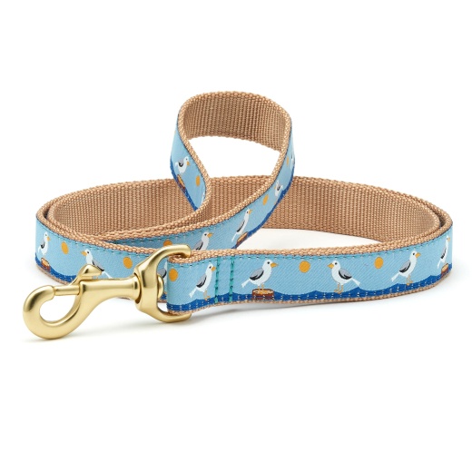 Gull Watch Small Breed Dog Lead - Upgrade Your Dog's Walking Experience