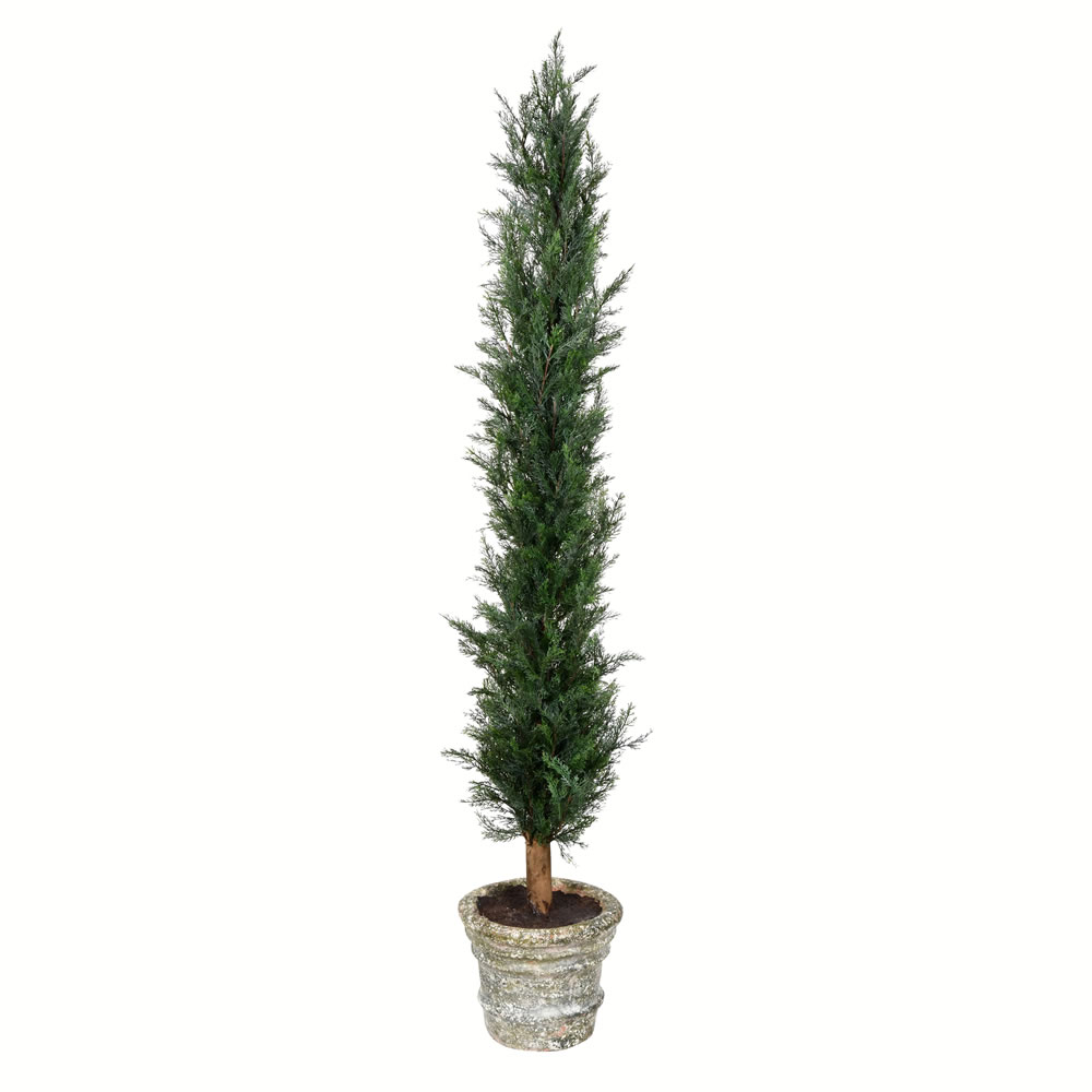 60" Potted Cedar Tree
