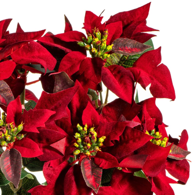 18" Red Poinsettia And Leaf Bush