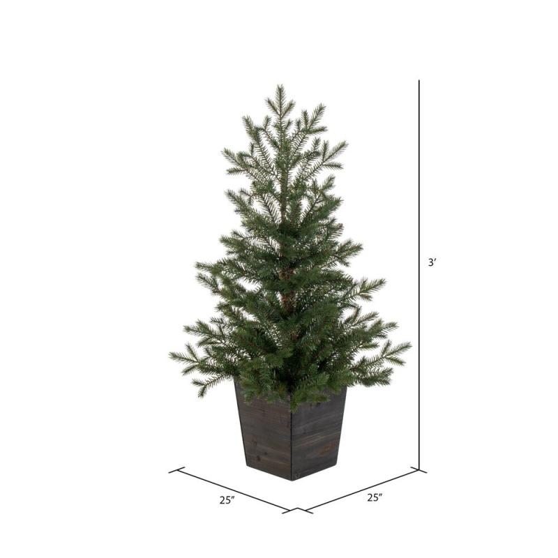 3' X 25" Potted Hemlock Pine 364t