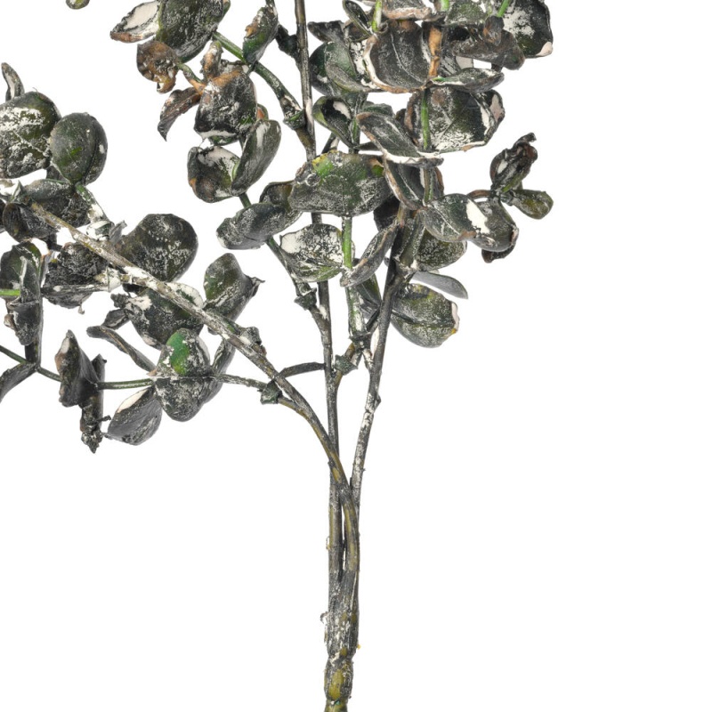 26.5" Dark Green Eucalyptus Spry 2/Bndle