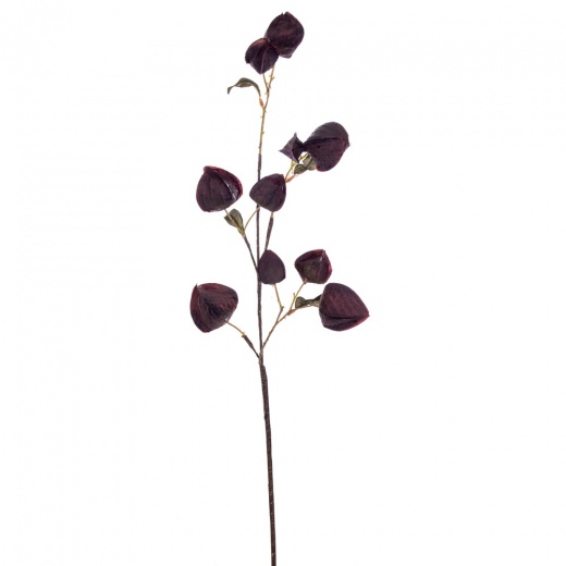30.5" Dk Purple Lantern Spray 2/Bg