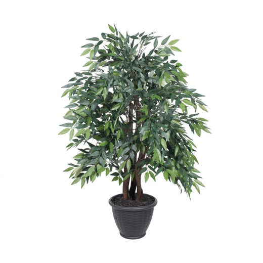 4' Green Smilax Extra Full in Gray Pot