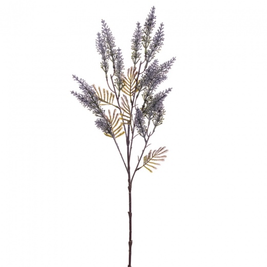 26" Gray Blue Cedar Spray 3/Bag