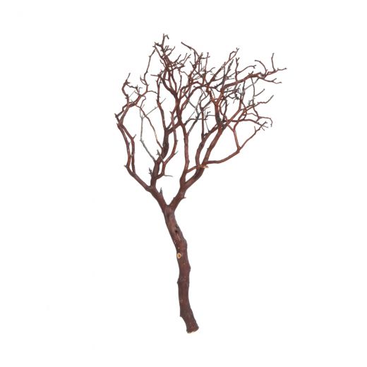 24" Natural Manzanita Tree Branch - Add Touch of Nature Indoors