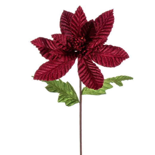 22" Burgundy Velv Glitr Poinsettia 6/Bg