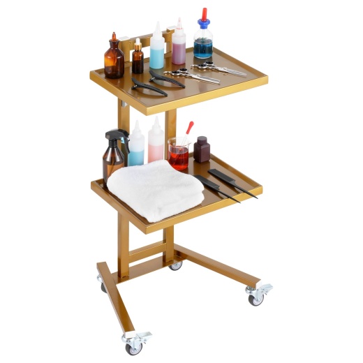 Vevor 2 Tiers Stainless Steel Lab Carts With 2 Trays & 4 Silent Wheels Golden, Lab Serving Cart Utility Cart Stainless Steel Medical Cart, Lab Carts With 2 Drawers & Top Tray, Lab Rolling Cart For Lab, Clinic, Hospital, Salon, Office