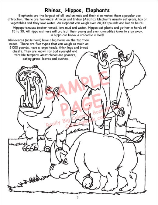 Really Big Coloring Books A Day at The Zoo Coloring Book 8.5 x 11 with at The Zoo Song