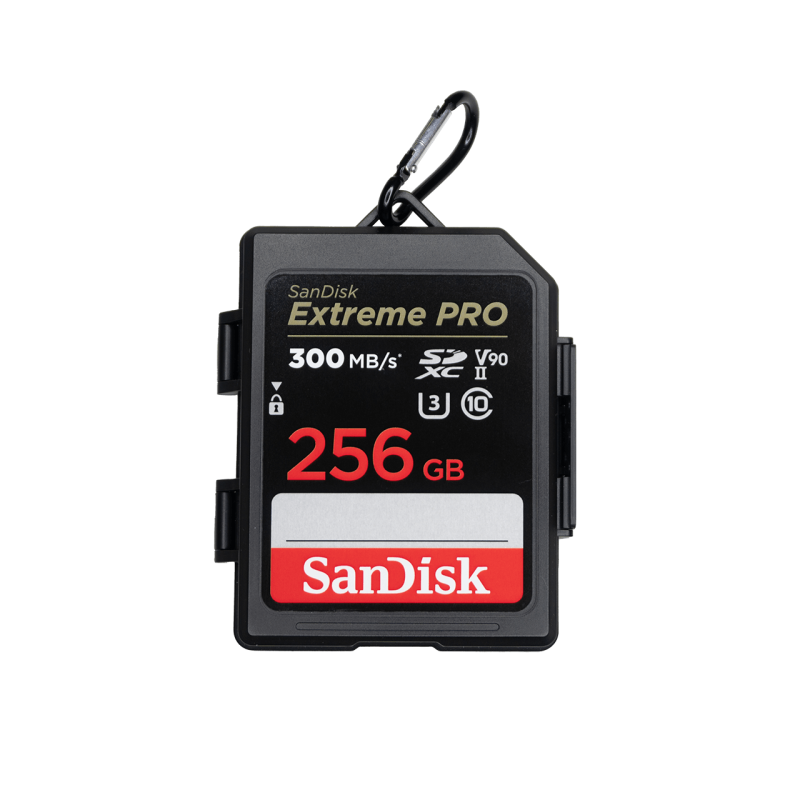 Sandisk Memory Card Case - Wdmx604rnw