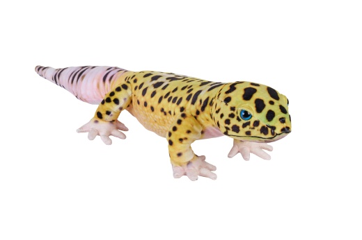 Living Earth Leopard Gecko Stuffed Animal - 24"