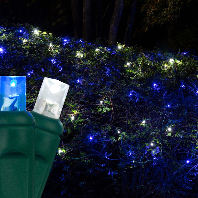Blue and Cool White 5mm LED Christmas Net Lights on Green Wire