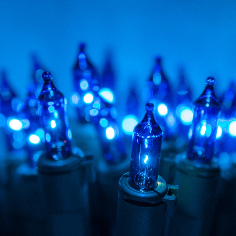 50 Viviluxe Tm Blue Christmas Mini Lights, Green Wire, 5.5" Spacing