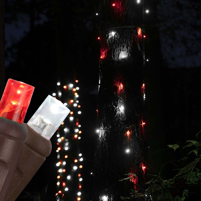 Red, Cool White Stretchnet Pro® 5Mm LED Trunk Wrap Lights
