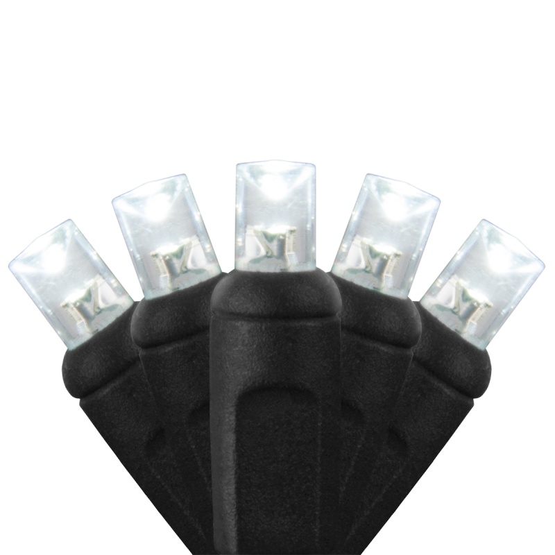 5Mm Wide Angle Cool White Led Christmas Lights On Black Wire