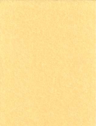 Light Parchment 5 Pack (8 1/2" X 11") for Written Magic Spells
